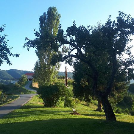 Maxl Villa Maltschach Dış mekan fotoğraf