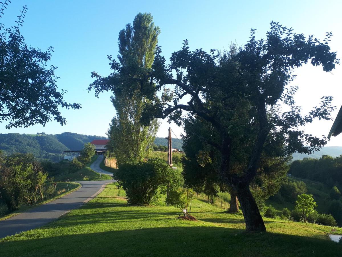 Maxl Villa Maltschach Dış mekan fotoğraf
