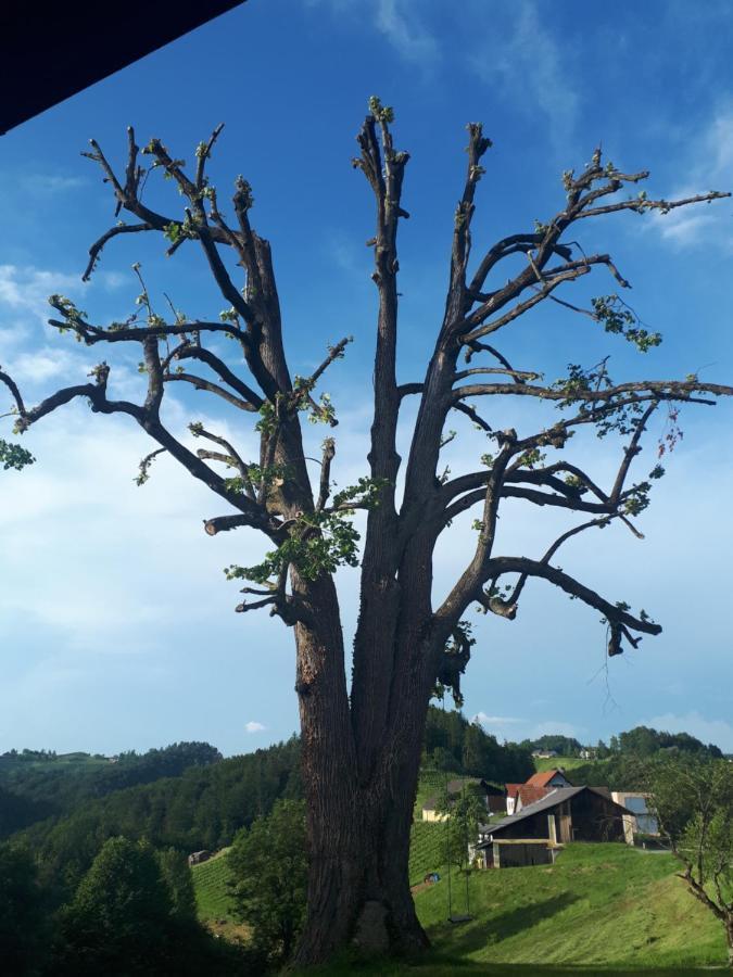 Maxl Villa Maltschach Dış mekan fotoğraf