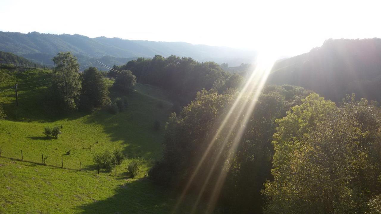 Maxl Villa Maltschach Dış mekan fotoğraf